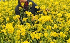 女生说痛男生越往里寨的视频